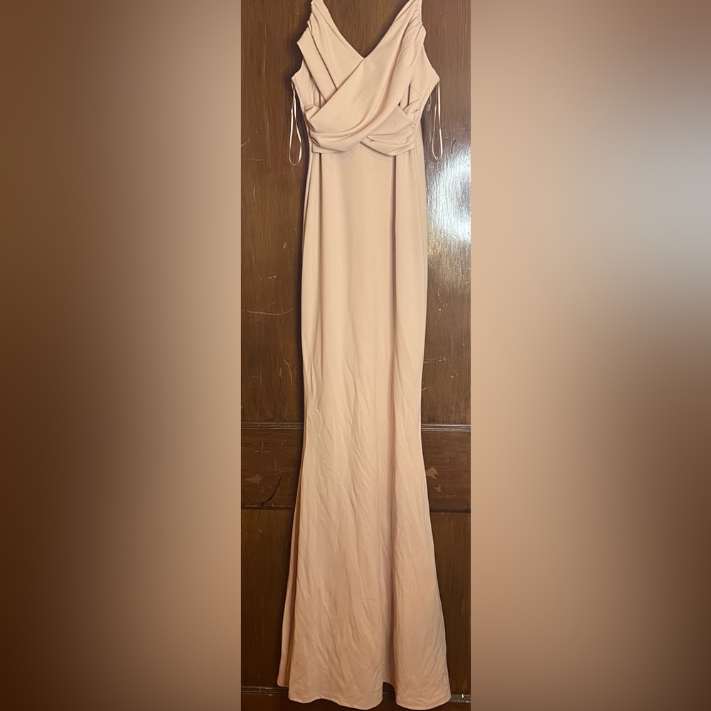 Windsor Elegant Nude Dress Size Small NWT